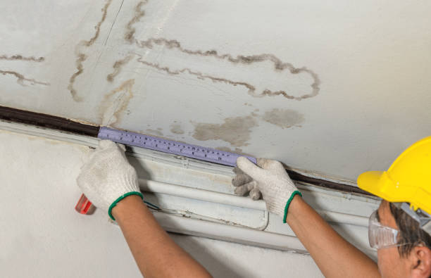 Reliable Water Damage contractor in Tekoa, WA by Water Damage Irwin